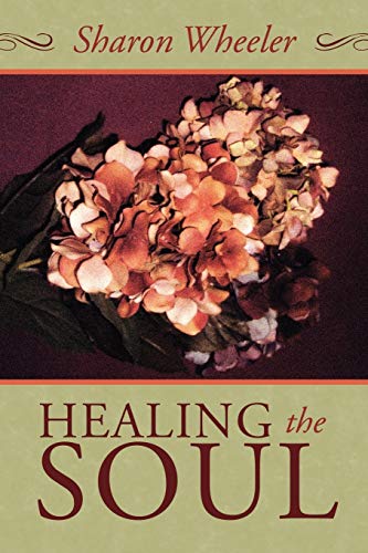 Stock image for Healing the Soul for sale by Chiron Media