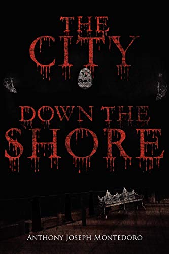 9781434355348: THE CITY DOWN THE SHORE