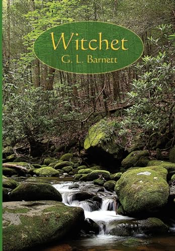 Imagen de archivo de Witchet a la venta por Lucky's Textbooks