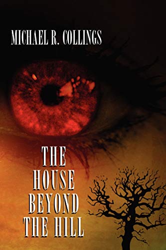 9781434400666: The House Beyond the Hill