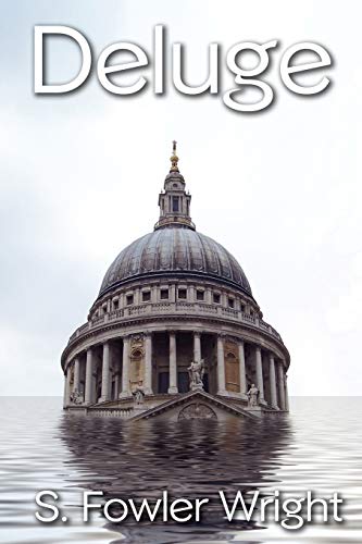 9781434444189: Deluge: A Novel of Global Warming