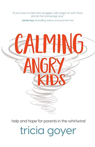 Imagen de archivo de Calming Angry Kids: Help and Hope for Parents in the Whirlwind a la venta por SecondSale