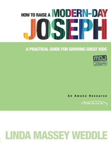 Beispielbild fr How to Raise a Modern-Day Joseph: A Practical Guide for Growing Great Kids zum Verkauf von medimops
