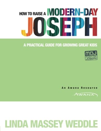 Stock image for How to Raise a Modern-Day Joseph: A Practical Guide for Growing Great Kids for sale by Jenson Books Inc