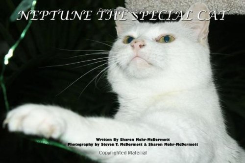 9781434989710: Neptune the Special Cat