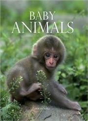 9781435107281: Title: Baby Animals