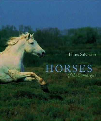 9781435109988: Horses of the Camargue