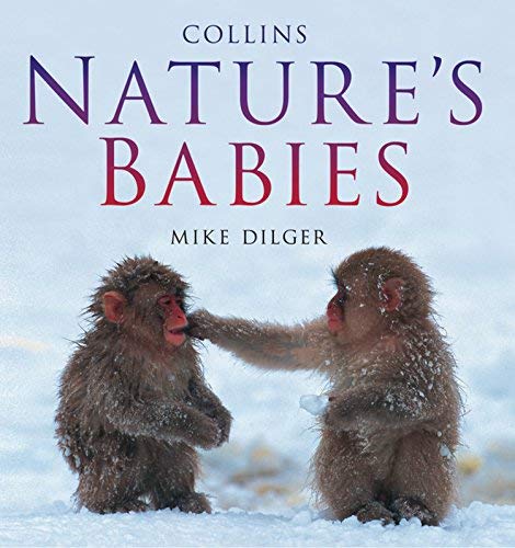 9781435111356: Nature's Babies [Hardcover] by