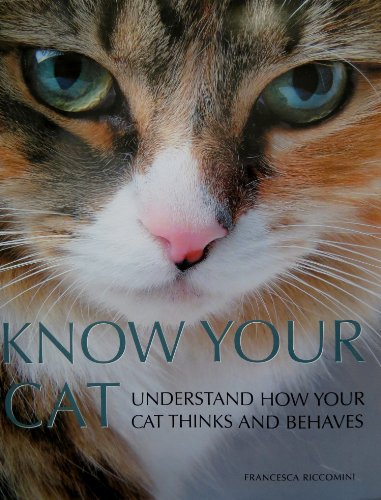 Beispielbild fr Know Your Cat : Understand How Your Cat Thinks and Behaves zum Verkauf von ThriftBooks-Dallas