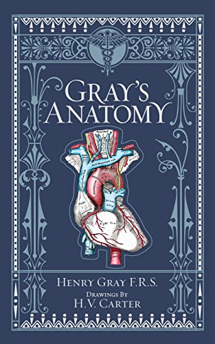 Beispielbild fr Gray's Anatomy (Barnes & Noble Leatherbound Classics) (Barnes & Noble Leatherbound Classic Collection) zum Verkauf von Harry Righton