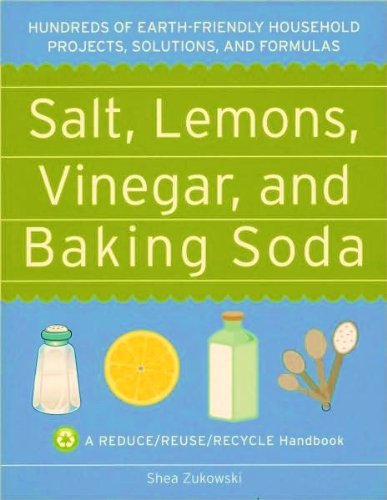 9781435116979: Salt, Lemons, Vinegar, and Baking Soda