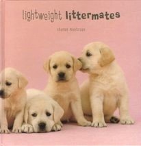 Imagen de archivo de Lightweight Littermates a la venta por ThriftBooks-Atlanta