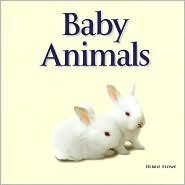 Stock image for Baby Animals By Debbie Stowe for sale by Wonder Book