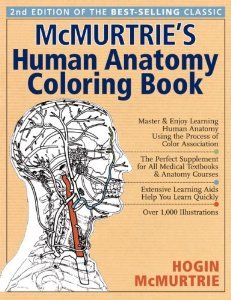 Stock image for McMurtries Human Anatomy Coloring Book for sale by Goodwill of Colorado
