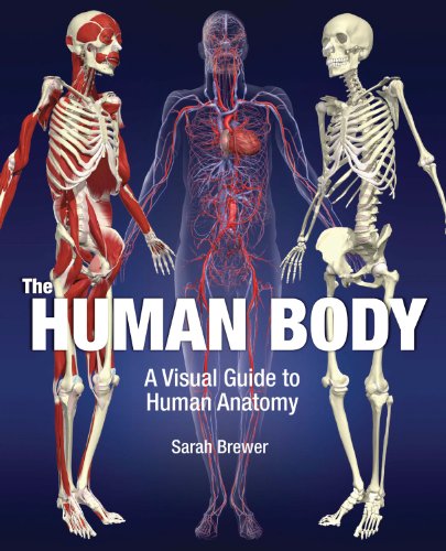 Beispielbild fr The Human Body: A Visual Guide to Human Anatomy zum Verkauf von Better World Books