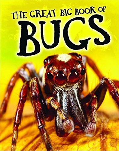 9781435140240: The great big book of bugs.