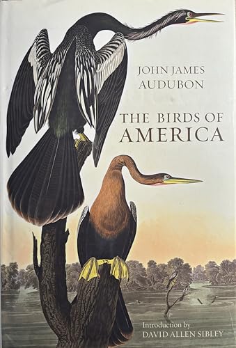 9781435142572: The Birds of America