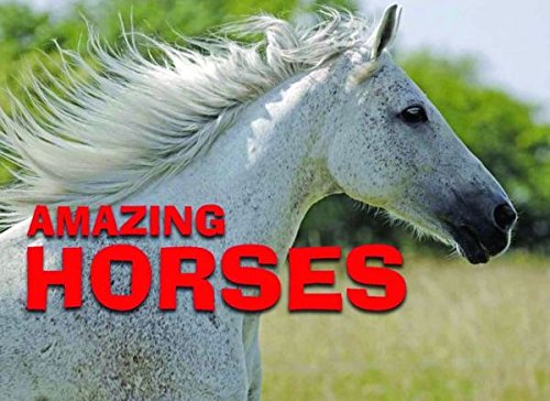 Imagen de archivo de Amazing Horses a la venta por Wonder Book