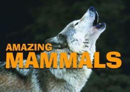 Stock image for AMAZING MAMMALS AMBER BOOKS for sale by Wonder Book