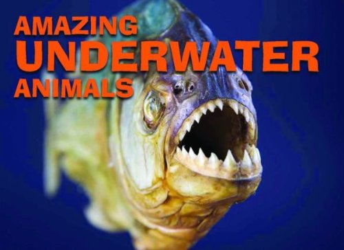 Imagen de archivo de Underwater Animals a la venta por Half Price Books Inc.