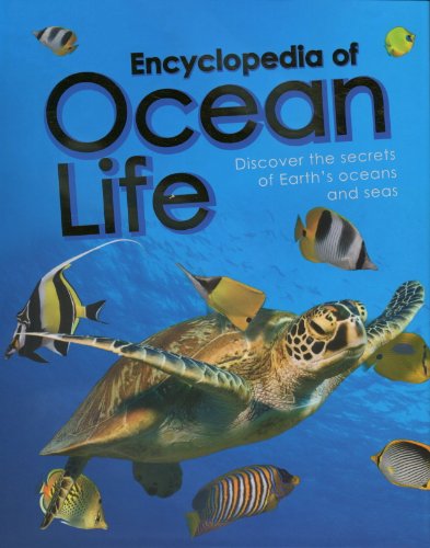 Beispielbild fr Encyclopedia of Ocean Life zum Verkauf von medimops