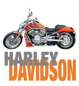 Stock image for Harley Davidson for sale by Wonder Book