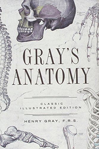 Beispielbild fr Gray's Anatomy: Classic Illustrated Edition (Fall River Classics) zum Verkauf von WorldofBooks