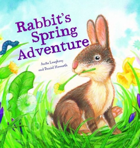 Beispielbild fr Rabbit's Spring Adventure zum Verkauf von Wonder Book