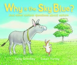 9781435147560: Why Is the Sky Blue?