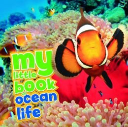 Stock image for My Little Book of Ocean Life for sale by Better World Books