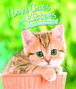 Beispielbild fr I Love Cats and Kittens zum Verkauf von Better World Books