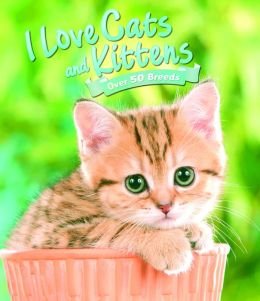 9781435155336: I Love Cats & Kittens (Over 50 Breeds)