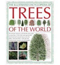 Beispielbild fr Illustrated Encyclopedia of Trees of the World zum Verkauf von HPB-Emerald