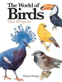 Stock image for Expert Guides: Birds for sale by Wonder Book