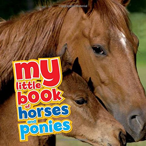 Stock image for My Little Book of Horses & Ponies for sale by Wonder Book