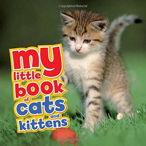 Stock image for My Little Book of Cats & Kittens for sale by Wonder Book