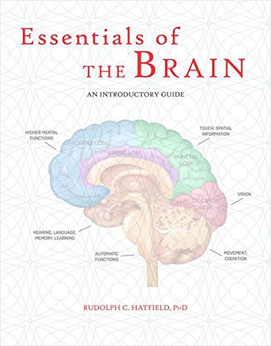 Imagen de archivo de Essentials of the Brain: An Introductory Guide a la venta por ZBK Books