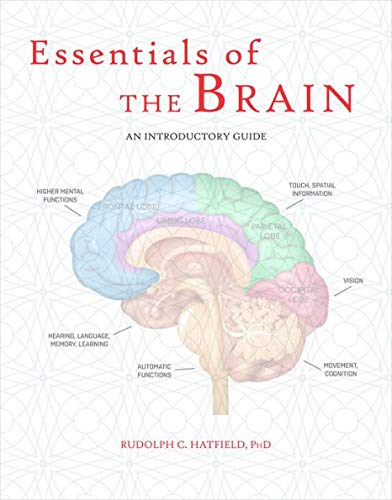 Stock image for Essentials of the Brain: An Introductory Guide for sale by SecondSale