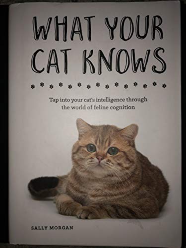 Beispielbild fr What Your Cat Knows zum Verkauf von medimops