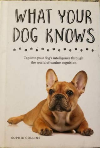 Imagen de archivo de What Your Dog Knows a la venta por Gulf Coast Books