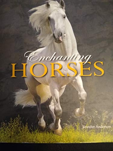 Stock image for Enchanting Horses Hardcover for sale by Gulf Coast Books