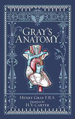 Stock image for Gray's Anatomy by F.R.S. Henry Gray drawings by H. V. Carter (2010) (Fifteenth Edition) (Barnes & Noble Leatherbound Classics) for sale by BookScene