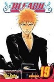 Bleach 19 (9781435201149) by Tite Kubo