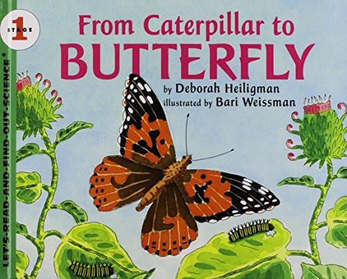 Imagen de archivo de Grehge r to Butterfly (Let's-Read-and-Find-Out Science) a la venta por ThriftBooks-Dallas