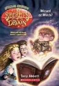 Stock image for Wizard or Witch (Secrets of Droon Special Edition) for sale by Better World Books