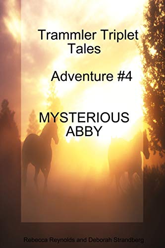 Stock image for Trammler Triplet Tales Advente #4 MYSTERIOUS ABBY (Trammler Triplet Tales-adventure, 4) for sale by Lucky's Textbooks