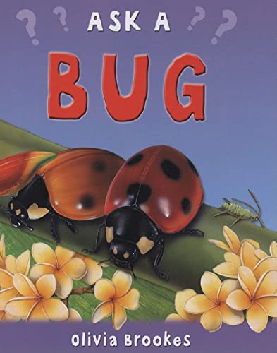 Stock image for A Bug for sale by Better World Books