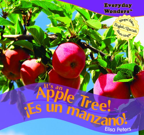Stock image for It's an Apple Tree! : Es un Manzano! for sale by Better World Books: West