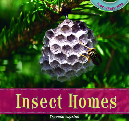 9781435826953: Insect Homes (Home Sweet Home)
