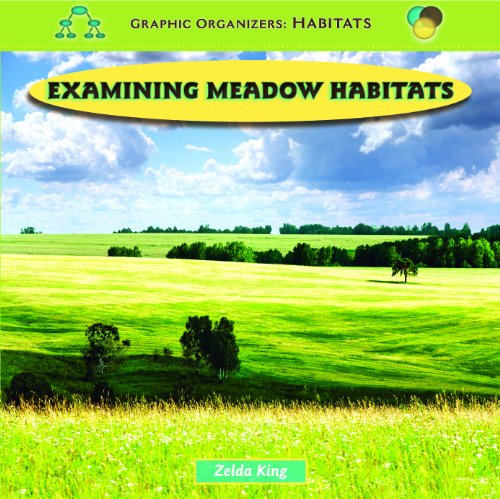 Beispielbild fr Examining Meadow Habitats (Graphic Organizers : Habitats) zum Verkauf von mountain